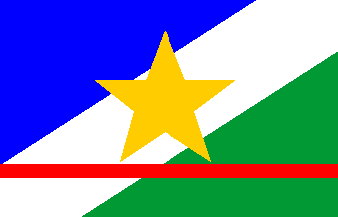 Roraima bandeira