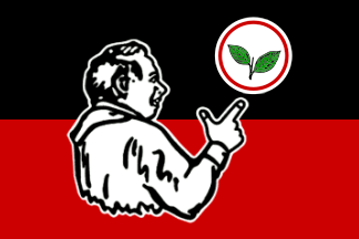 Image result for aiadmk flag