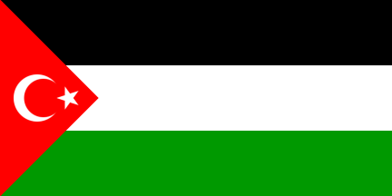 Turkish Palestinian Solidarity Flag Turkey