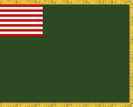 Dansey Flag, Delaware (U.S.)