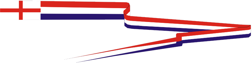 common pennant