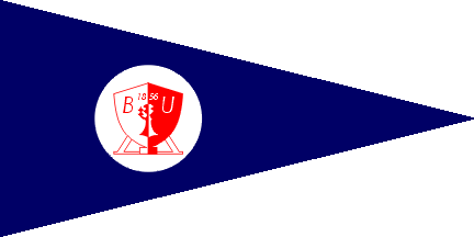 Yacht flag